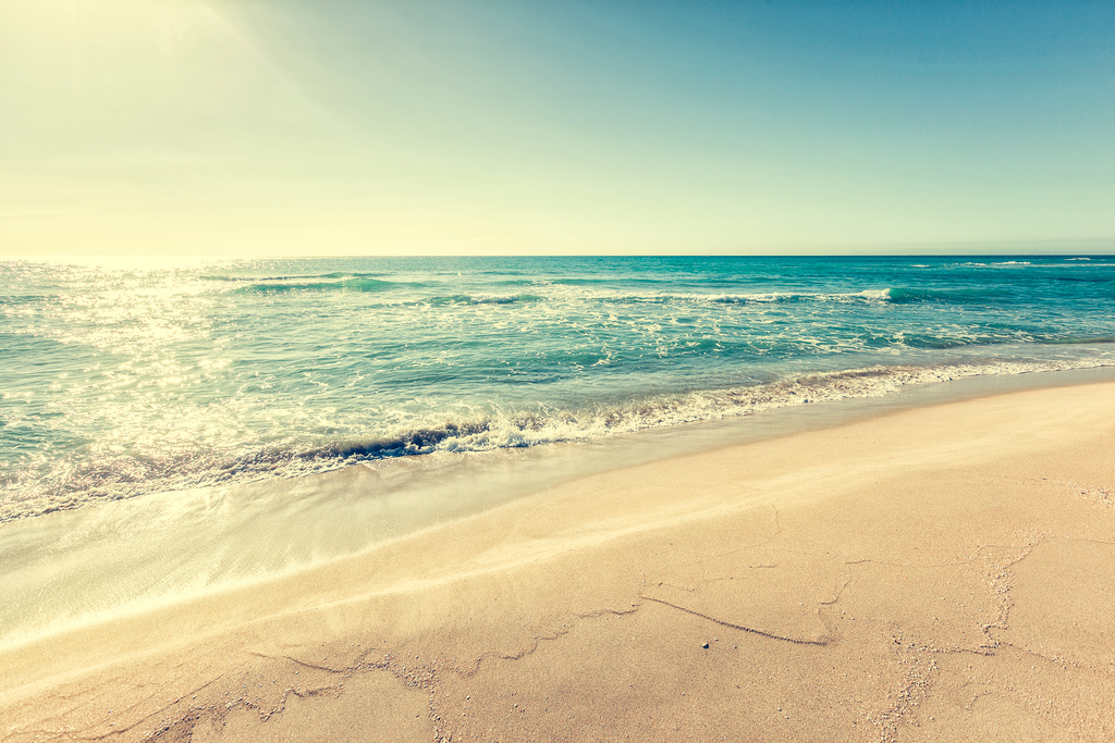 Beach and ocean