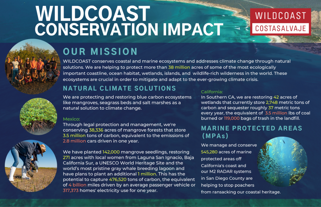 WILDCOAST Conservation Impact